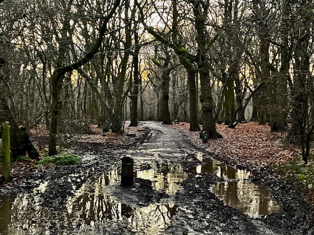 Giant-Puddles-5516
